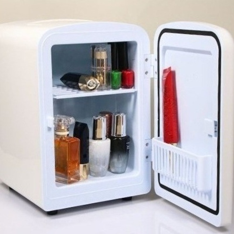 Small Makeup Storage Refrigera - Luxury Skincare Fridge review and price